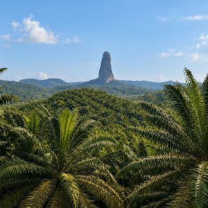 Pico Cão Grande entre palmeres a São Tomé