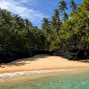 Platja tropical amb palmeres a São Tomé